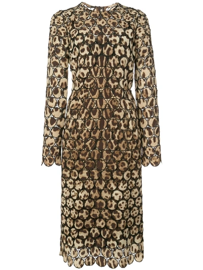 Shop Dolce & Gabbana Leopard Print Dress In Animalier