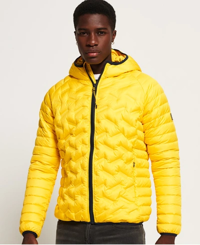 Superdry Down Radar Mix Quilted Jacket In Yellow | ModeSens