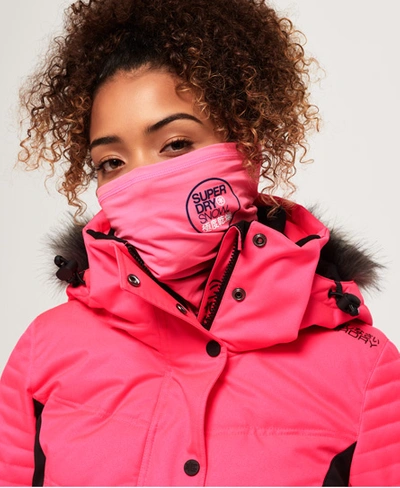 Shop Superdry Snow Tube In Pink