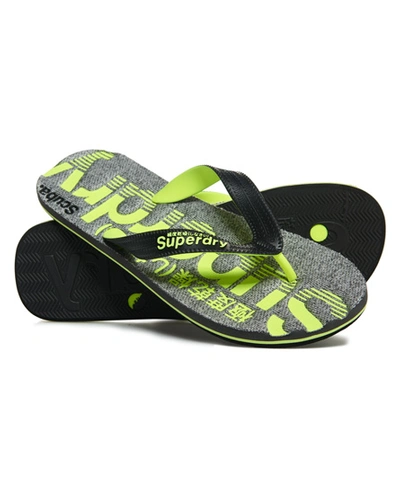 Shop Superdry Scuba Flip Flops In Light Grey