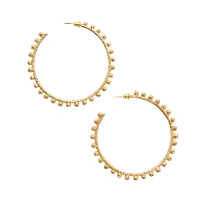 Shop Christie Nicolaides Dominica Earrings Gold