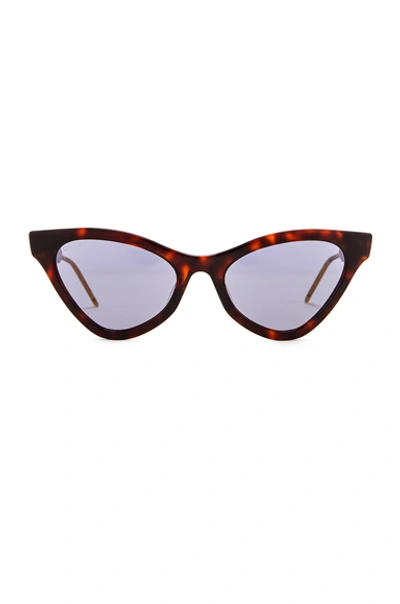 Shop Gucci Cat Eye Sunglasses In Red Havana & Blue