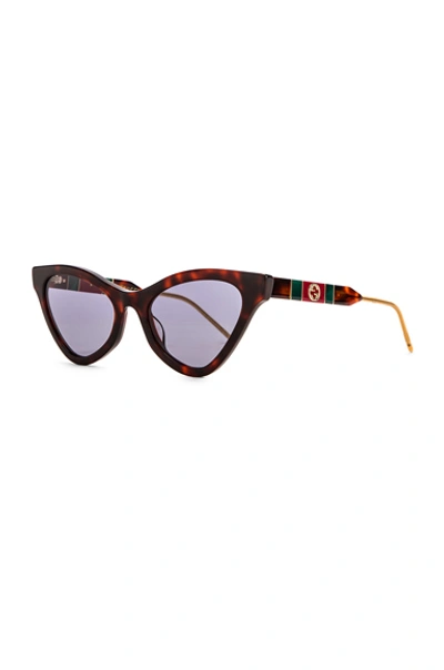 Shop Gucci Cat Eye Sunglasses In Red Havana & Blue