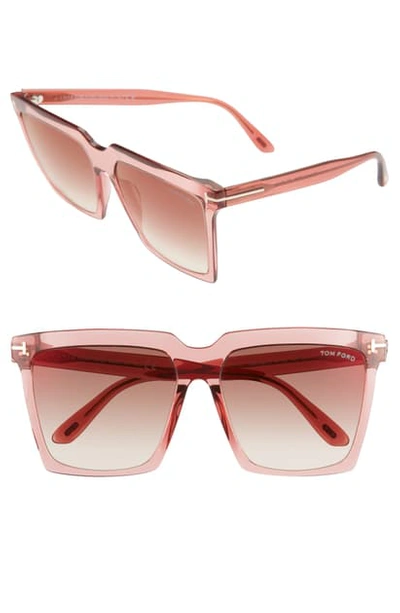 Shop Tom Ford Sabrina 58mm Square Sunglasses In Shiny Pink/ Brown