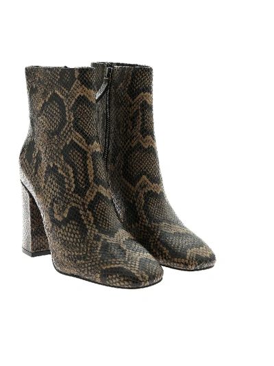 Shop Ash Boots In Python Print Taupe