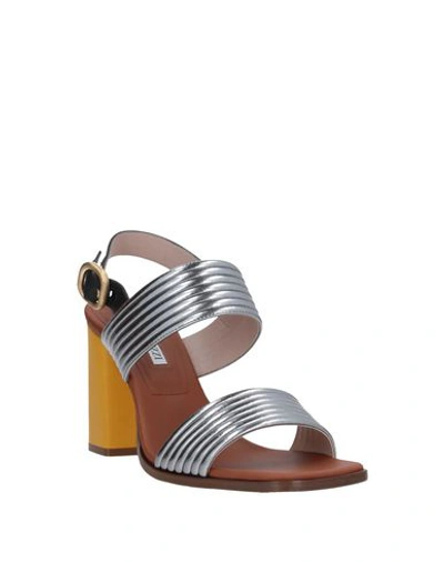 Shop Alberto Gozzi Sandals In Silver