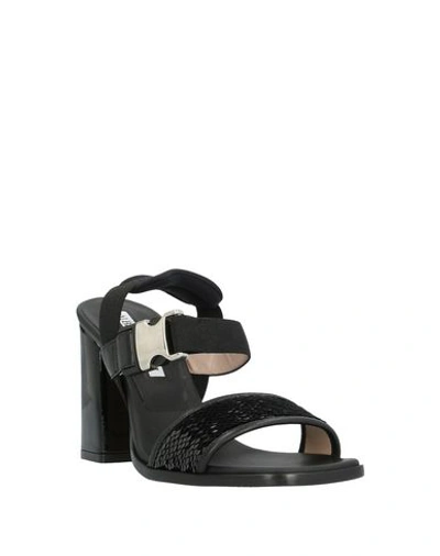 Shop Alberto Gozzi Sandals In Black