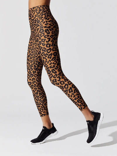 Shop Beach Riot Piper Legging In Leopard