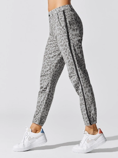 Shop Sundry Leopard Zip Jogger In Light Grey