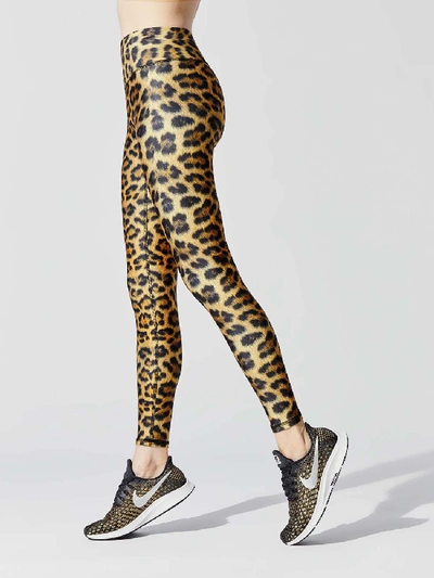 Shop Terez High Rise Legging In Leopard Goals