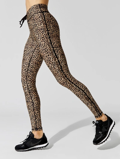 Shop The Upside Leo Yoga Pant In Leopard