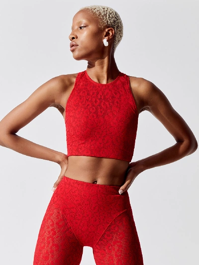 Shop Adam Selman Sport Racer Crop Top In Red Leopard