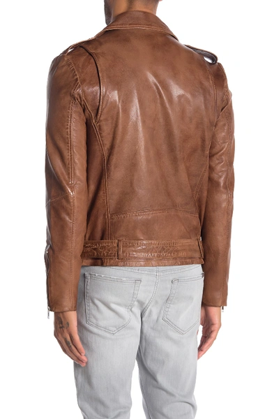 Shop Lamarque Vin Leather Moto Jacket In Luggage