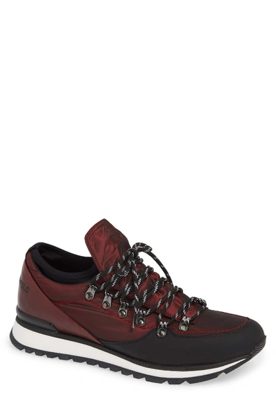 Shop Karl Lagerfeld Low Top Hiker Sneaker In Bordeaux