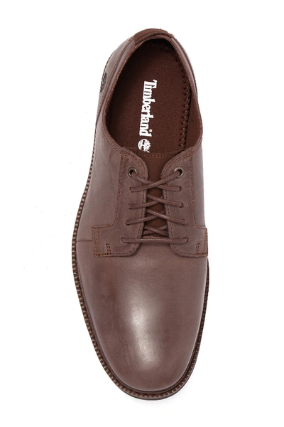 Timberland lafayette park clearance oxford