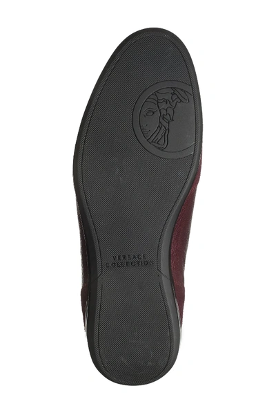 Shop Versace Suede & Leather Racer Sneaker In Bordeaux-canna Di Fucile