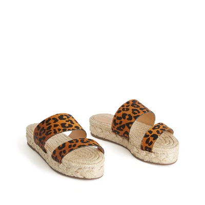 Shop Schutz Lis Flat Sandal In Sandstone Leopard