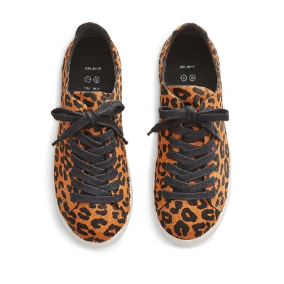 Shop Schutz Ofelia Sneaker In Sandstone Leopard