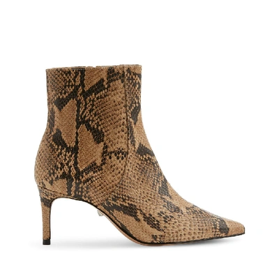 Shop Schutz Bette Bootie In Honey Beige Snake