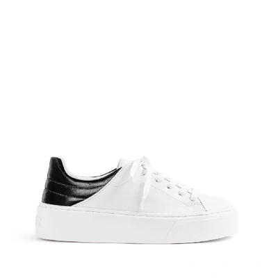 Shop Schutz Tarim Sneaker In Black