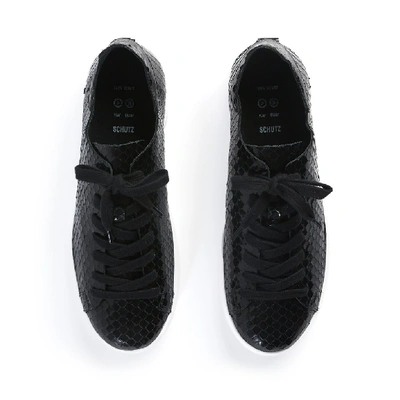 Shop Schutz Ofelia Sneaker In Black
