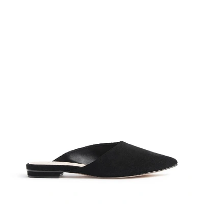 Shop Schutz Raylene Flat Mule In Black