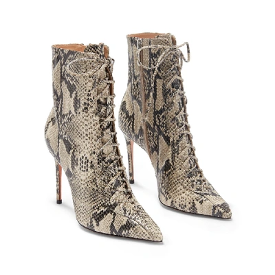 Shop Schutz Anaiya Bootie In Natural Snake