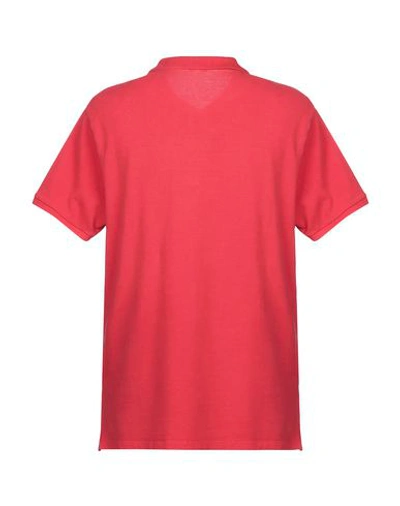 Shop Blauer Man Polo Shirt Coral Size L Cotton In Red