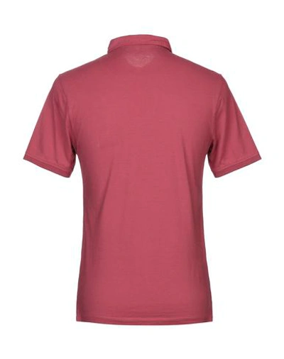 Shop Blauer Man Polo Shirt Burgundy Size M Cotton In Red