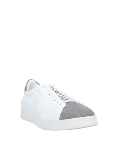 Shop Franceschetti Sneakers In Grey