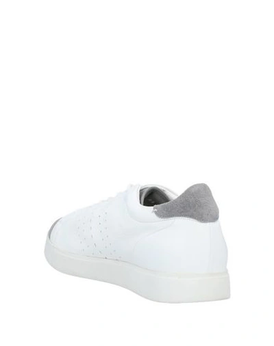 Shop Franceschetti Sneakers In Grey