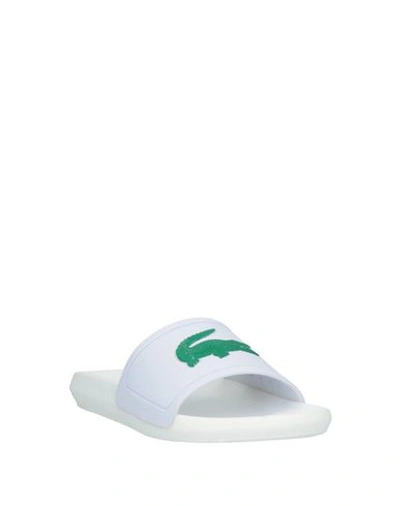 Shop Lacoste Sandals In White
