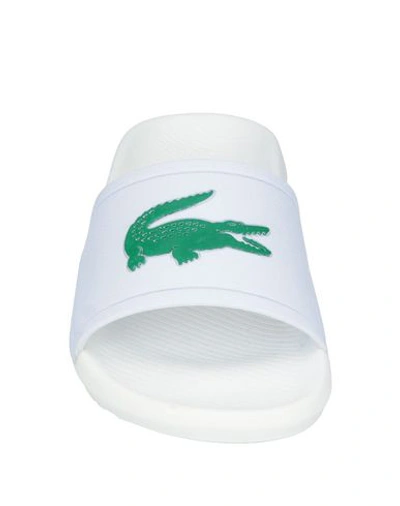 Shop Lacoste Sandals In White