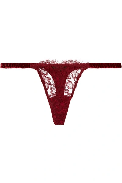 Shop Coco De Mer Eugenia Lace And Velvet Thong In Claret