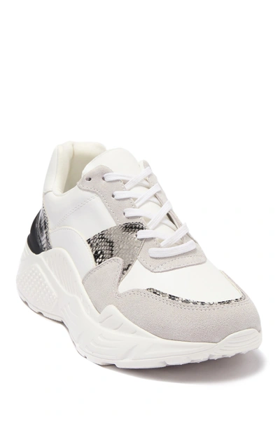 Shop Steve Madden Reverse Leather & Suede Snake Embossed Sneaker In White Mult