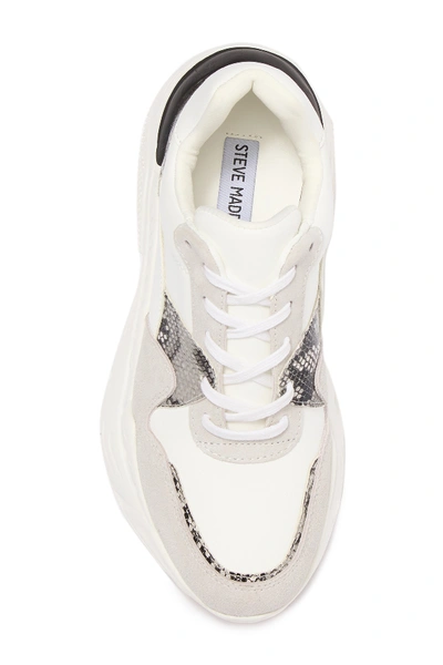 Shop Steve Madden Reverse Leather & Suede Snake Embossed Sneaker In White Mult