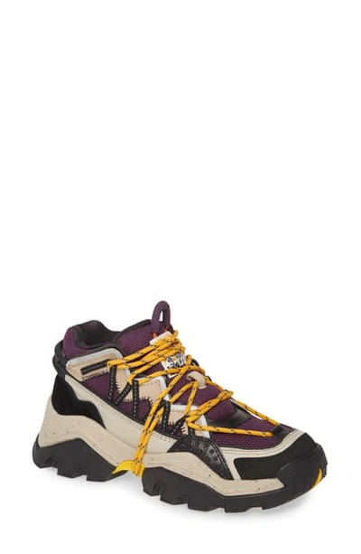 Shop Kenzo Inka Sneaker In Blackcurrant