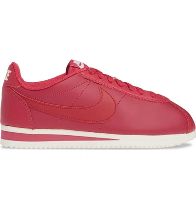 Shop Nike Classic Cortez Sneaker In Wild Cherry/ Red/ White