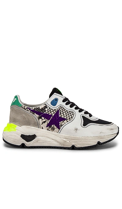 Shop Golden Goose Running Sole Sneaker In Natural Snake & Violet