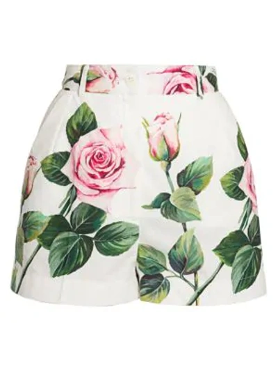 Shop Dolce & Gabbana Rose-print Poplin Shorts In White Pink