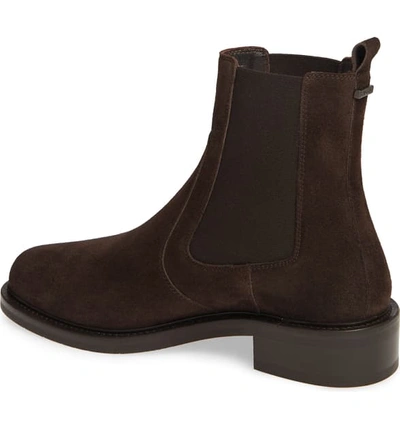 Shop Aquatalia Alexandra Weatherproof Chelsea Boot In Espresso Suede/ Elastic