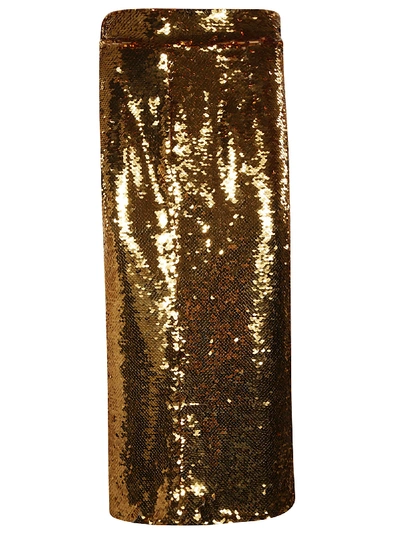 Shop Dolce & Gabbana Metallic Skirt In Gold