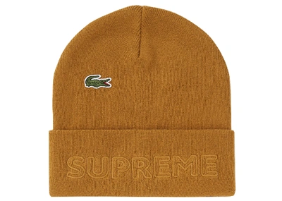 Pre-owned Supreme  Lacoste Beanie Gold
