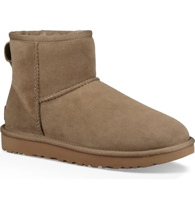 Shop Ugg Classic Mini Ii Genuine Shearling Lined Boot In Antelope Suede