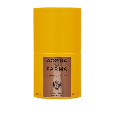 Shop Acqua Di Parma Colonia Intensa Edc Natural Spray In N/a