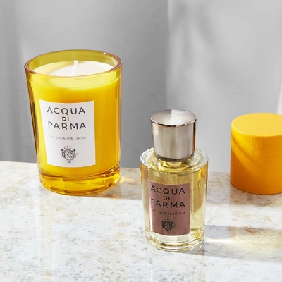 Shop Acqua Di Parma Colonia Intensa Edc Natural Spray In N/a