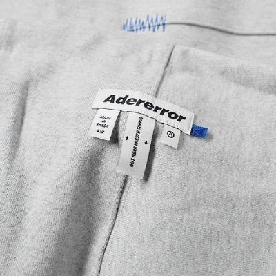 Shop Ader Error Ae Logo Hoody In Grey