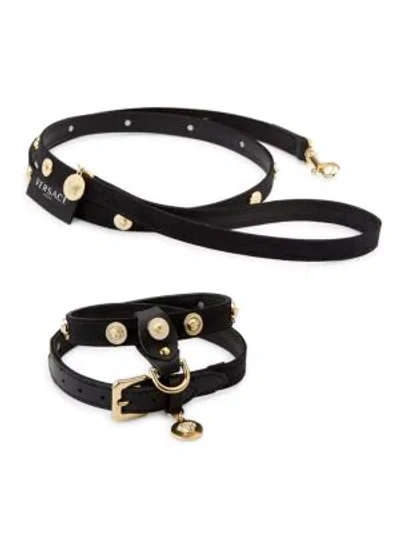 Shop Versace Barocco Dog Harness & Collar Set In Black