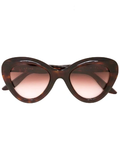 Shop Lapima Brown Rita Sunglasses