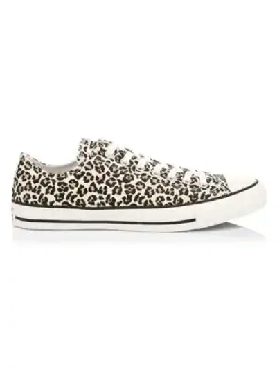 Shop Converse Chuck Taylor All Star Leopard-print Canvas Low-top Sneakers In Multi